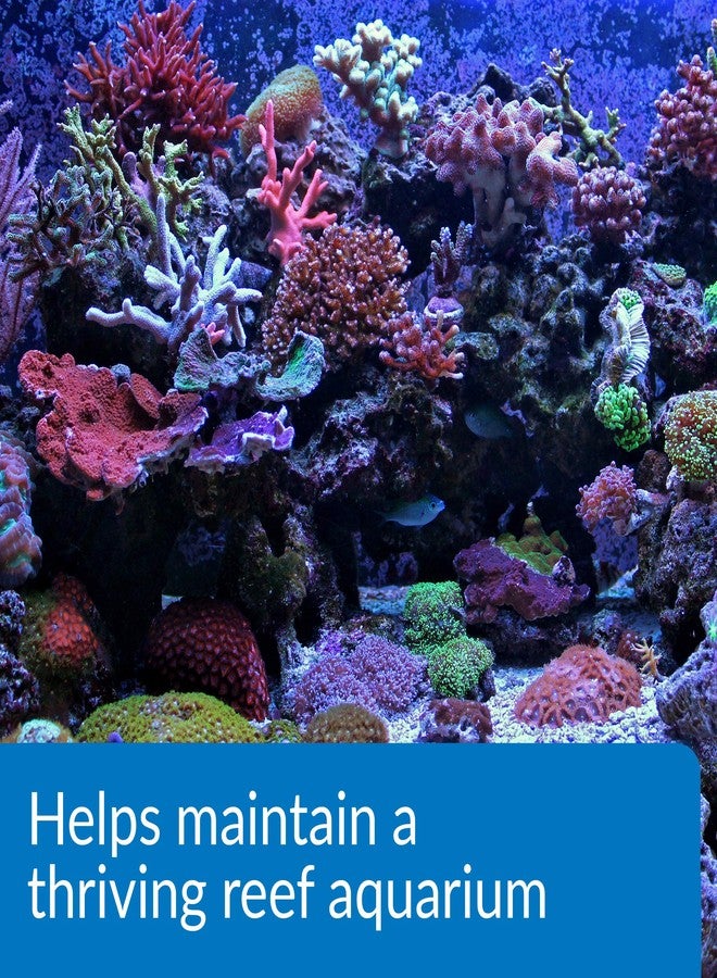 API Marine Magnesium Reef Aquarium Magnesium Solution 16-Ounce Bottle - Image 4